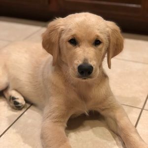 Meet your Posher, Jennie